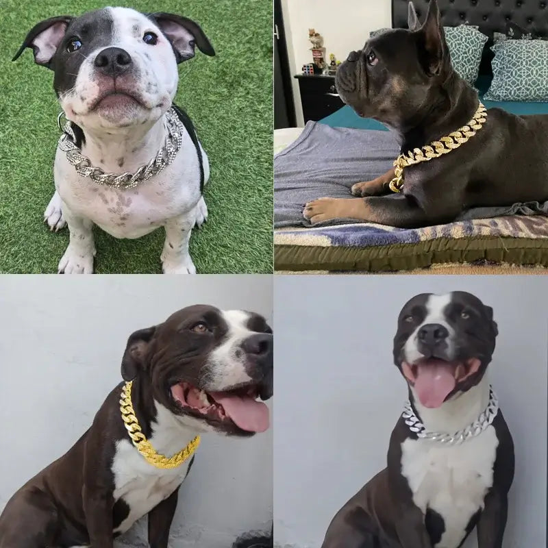 Golden Sparkle-Diamond Dog Collar for All Breeds