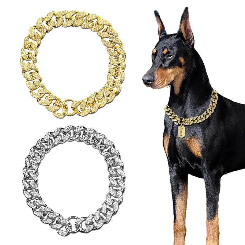 Golden Sparkle-Diamond Dog Collar for All Breeds